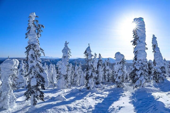 Crossing Into the Arctic: The Ultimate Arctic Circle Day Tour from Fairbanks photo 4