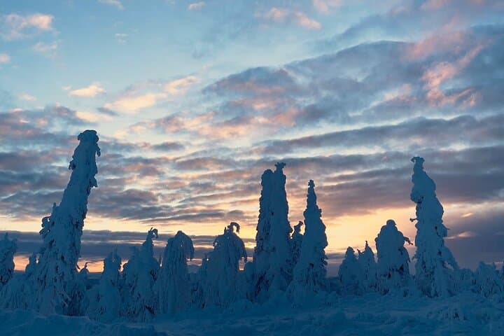 Crossing Into the Arctic: The Ultimate Arctic Circle Day Tour from Fairbanks photo 5