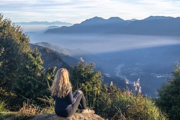 Alishan One-Day Tour from Taichung: Rail Ride, Ancient Cypresses & Sunrise Views photo 2