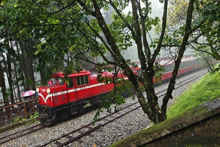Alishan One-Day Tour from Taichung: Rail Ride, Ancient Cypresses & Sunrise Views photo 1