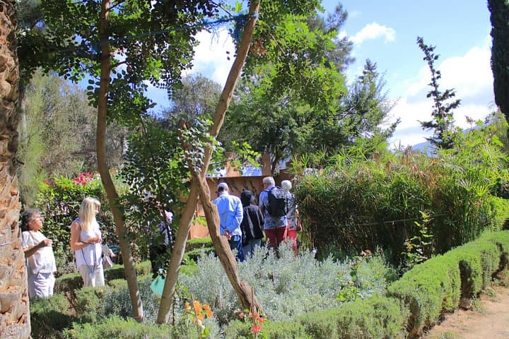 Paradise Valley Day Trip from Agadir or Taghazout — High Atlas Pools & Berber Breakfast photo 1