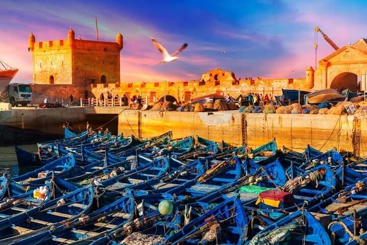 Essaouira Day Trip: Art, Atlantic Winds, and Seafood from Marrakech