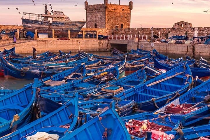 Essaouira Day Trip: Art, Atlantic Winds, and Seafood from Marrakech photo 2