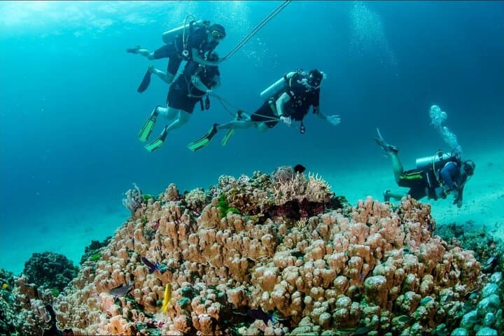Full-Day Racha Yai Private Scuba Diving Course: Discover Andaman Reefs for Beginners photo 5