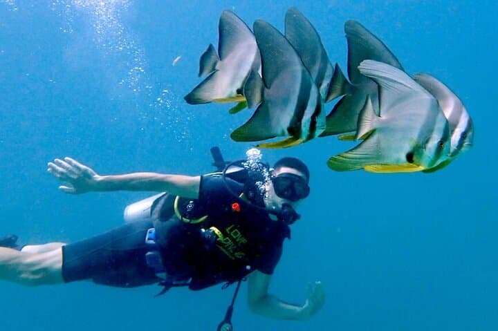 Racha Yai Full-Day Scuba Course from Phuket — Learn to Dive with Two Open-Water Dives photo 5