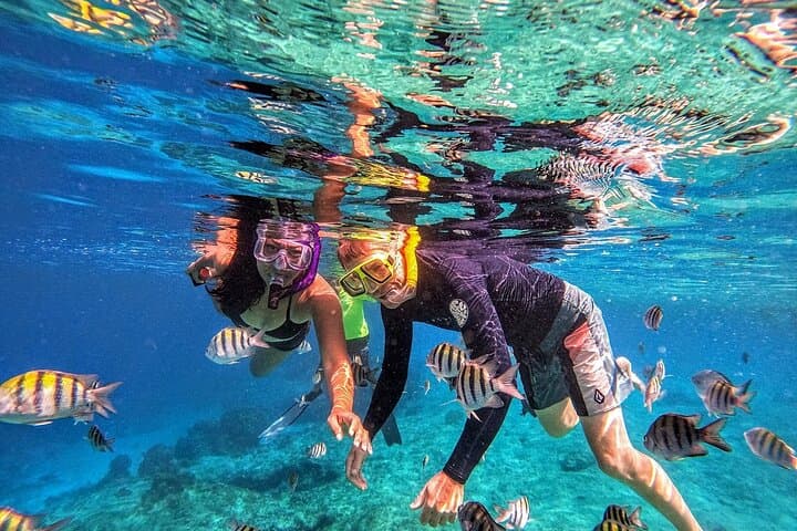 Grand Cayman 2-Stop Snorkeling & Stingray City Combo Adventure photo 4
