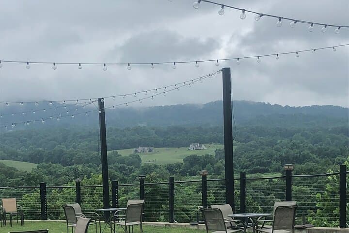 Northern Virginia Luxury Winery Excursion: Private Three‑Winery Tour photo 2