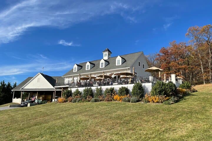 Northern Virginia Luxury Winery Excursion: Private Three‑Winery Tour photo 6