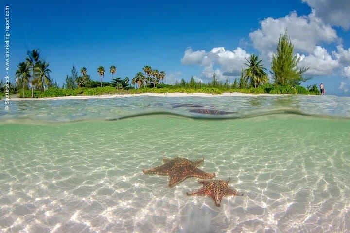 Cayman Combo Adventure: Stingray City, Starfish Point & Crystal Caves photo 3