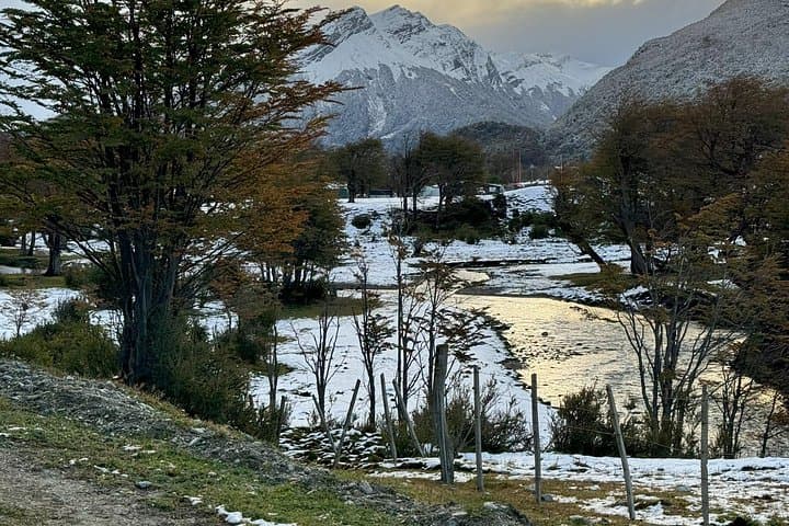Exploring Tierra del Fuego National Park: Half-Day Guided Tour from Ushuaia photo 3