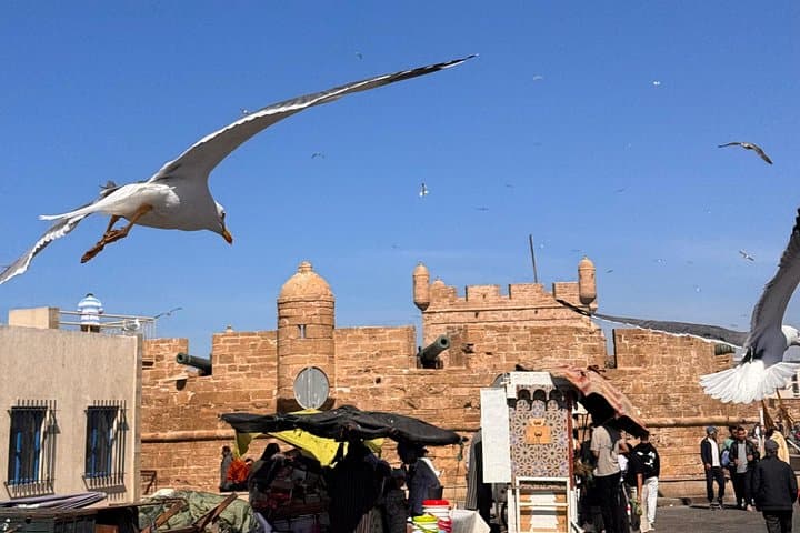 Essaouira Day Trip from Marrakech: Private Full-Day Coastal & Medina Tour photo 3