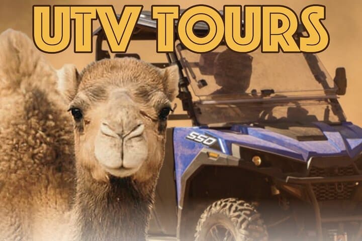 Las Vegas UTV Safari & Zoo Combo: Virgin River UTV Tour with Camel Encounter