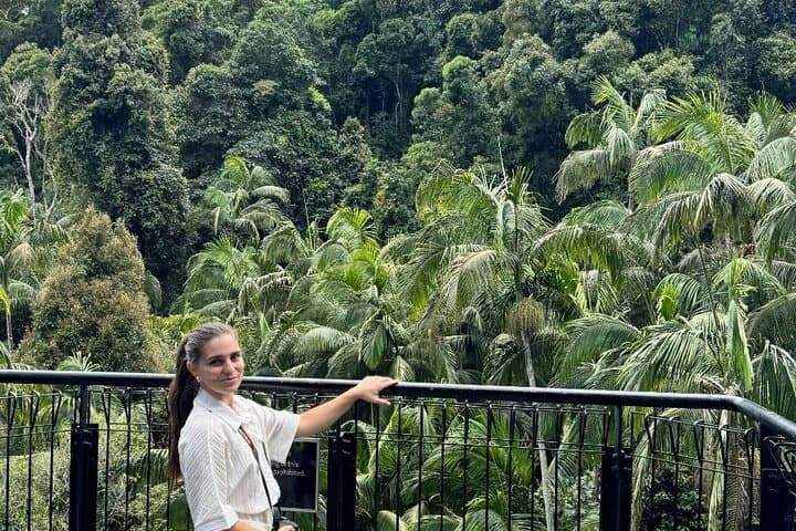 Tamborine Mountain Explorer Day Trip from Brisbane — Rainforest Walks, Wine & Gallery Walk