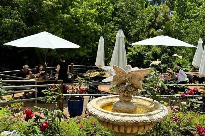 Tamborine Mountain Explorer Day Trip from Brisbane — Rainforest Walks, Wine & Gallery Walk photo 4