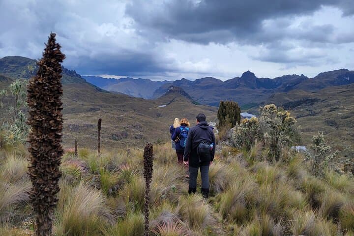 Cajas Challenge Trail: 16km Grasslands to Cloud Forest Hike from Cuenca photo 3