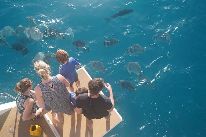 Private Whitsundays Yacht Charter: Full-Day Airlie Beach Cruise & Snorkel photo 3