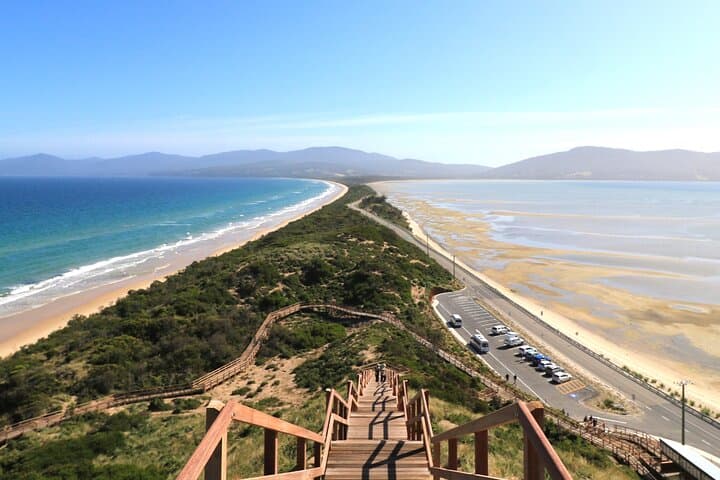 Bruny Island Small-Group Day Tour from Hobart: Cliffs, Oysters & Lighthouse