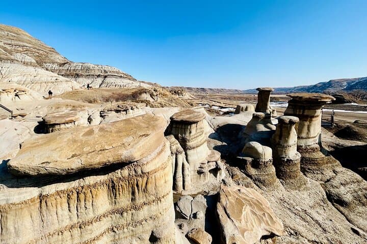 Drumheller Badlands Private Sightseeing Tour: Royal Tyrrell, Hoodoos & Atlas Mine photo 2