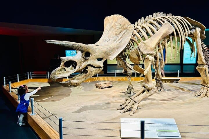 Drumheller Badlands Private Sightseeing Tour: Royal Tyrrell, Hoodoos & Atlas Mine