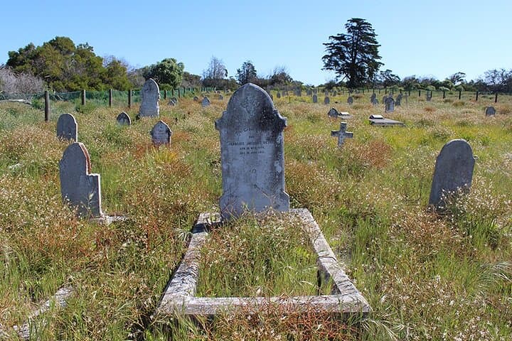 Cape Town in a Day: Robben Island, Bo-Kaap & Table Mountain Private Tour Guide photo 6