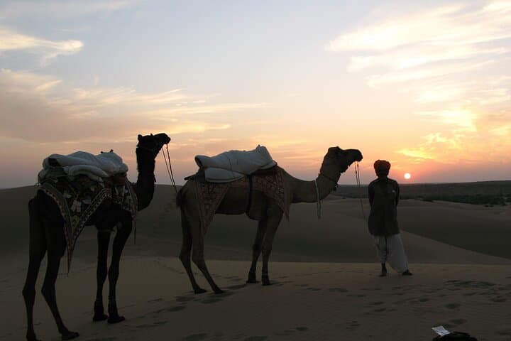 Jaisalmer Sand Dune Camel Safari and Desert Dinner at Sunset