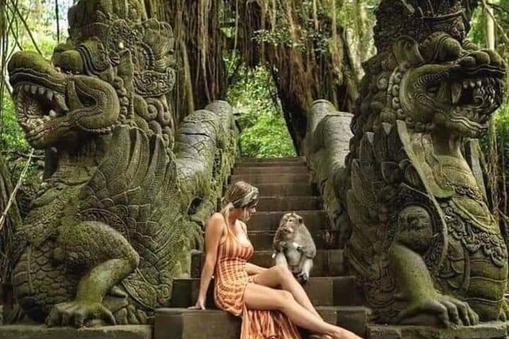 Custom Ubud Private Tour — Rice Terraces, Temples & Waterfalls photo 3