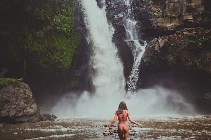 Custom Ubud Private Tour — Rice Terraces, Temples & Waterfalls photo 5