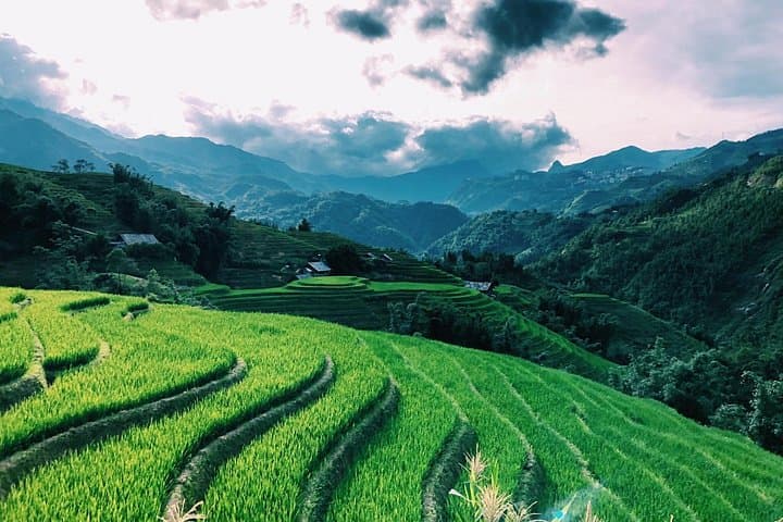 Half-Day Private Car Tour to Cat Cat, Lao Chai & Ta Van — Sapa Rice Terraces photo 2