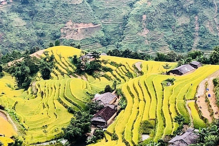 Half-Day Private Car Tour to Cat Cat, Lao Chai & Ta Van — Sapa Rice Terraces photo 3