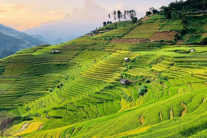 Half-Day Private Car Tour to Cat Cat, Lao Chai & Ta Van — Sapa Rice Terraces photo 4
