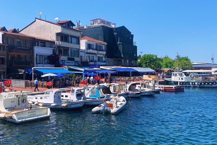 Half-Day Princes' Islands Tour from Istanbul — Buyukada Ferry & Walking Exploration photo 5