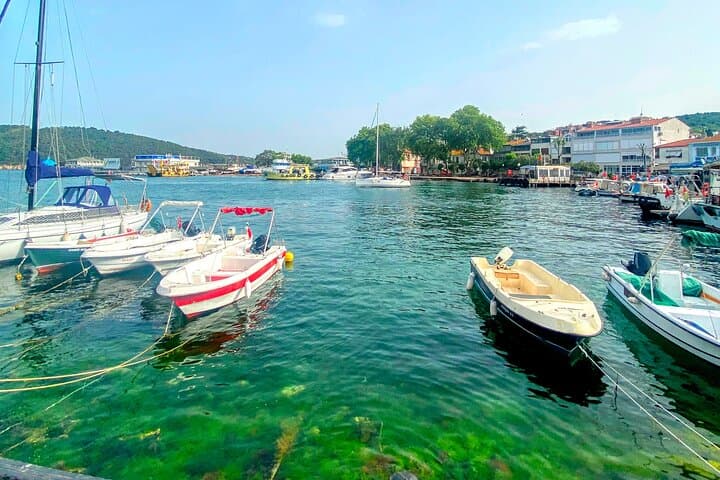 Half-Day Princes' Islands Tour from Istanbul — Buyukada Ferry & Walking Exploration photo 6
