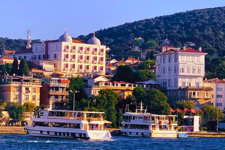Half-Day Princes' Islands Tour from Istanbul — Buyukada Ferry & Walking Exploration photo 2