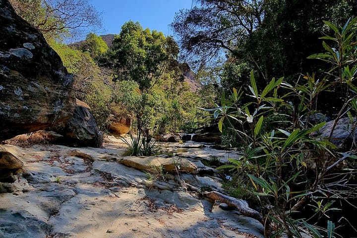 Route Nationale 7: 7-Day Ranomafana–Isalo–Anja National Parks Adventure photo 2