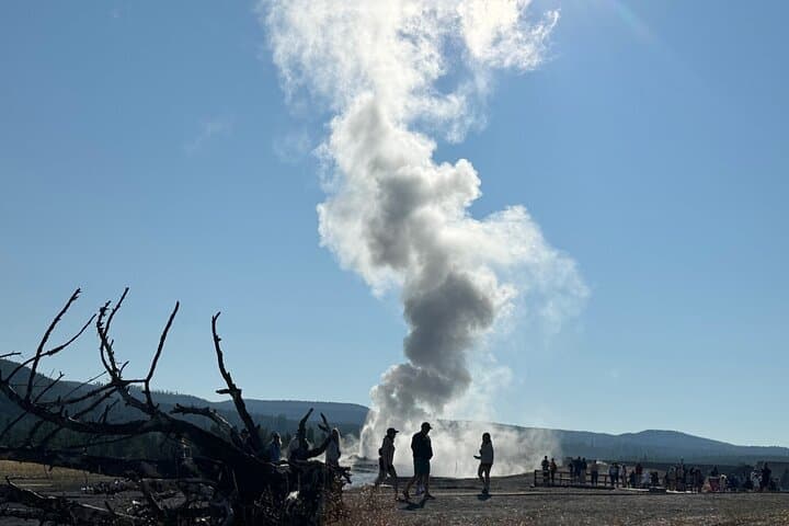 Yellowstone Lower Loop Day Tour from Cody: Old Faithful, Grand Canyon & Hot Springs photo 3