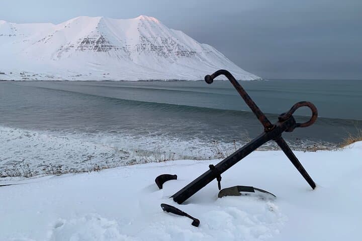 Arctic Coastline Microbrewery and Culture Tour from Akureyri photo 6