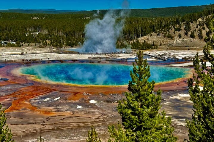 Yellowstone Lower Loop Hot Spots Tour: Old Faithful, Grand Prismatic & Yellowstone Falls photo 6