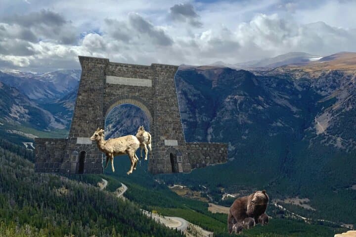 Private Yellowstone Wildlife & Photo Tour — Upper Loop Full-Day from West Yellowstone