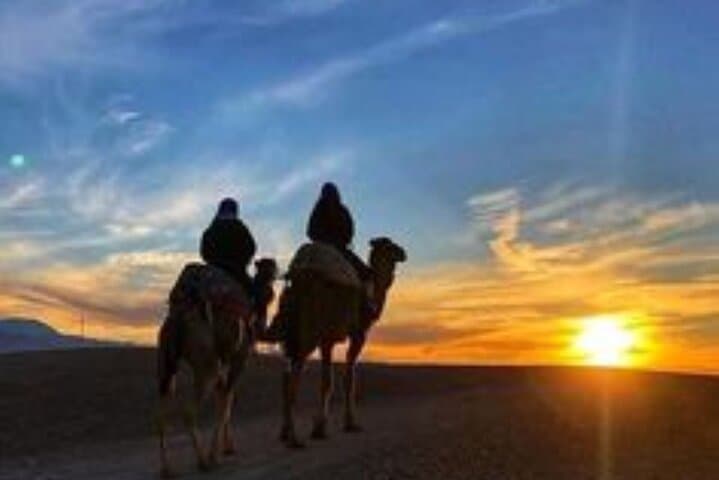 Agafay Desert Quad and Camel Sunset — Marrakech Evening Tour with Dinner & Show photo 3