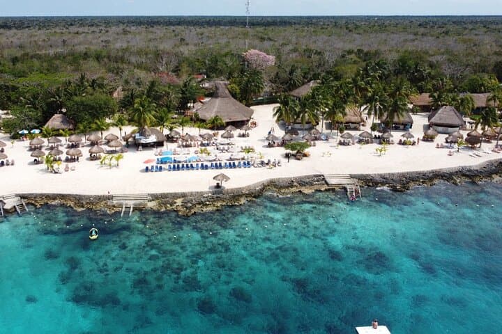 Cozumel Chankanaab Snorkeling Day Pass — Reef Snorkel, Lunch & Beach Access