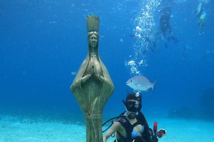 Cozumel Chankanaab Snorkeling Day Pass — Reef Snorkel, Lunch & Beach Access photo 4
