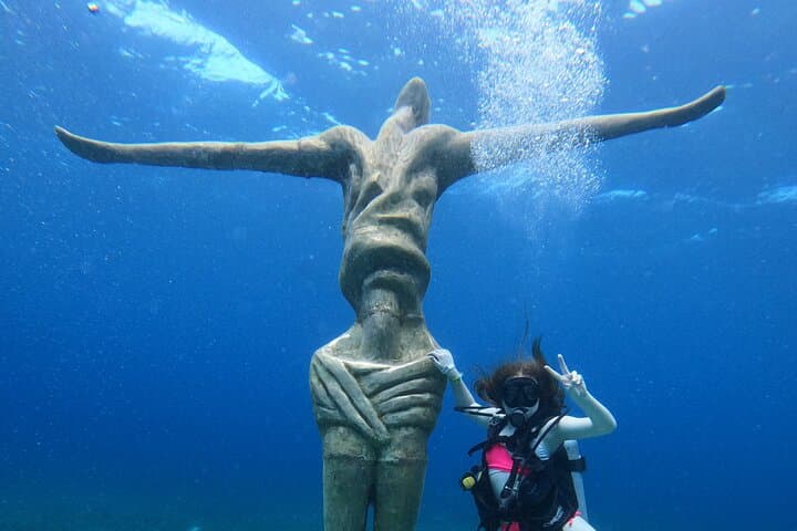 Cozumel Chankanaab Snorkeling Day Pass — Reef Snorkel, Lunch & Beach Access photo 5