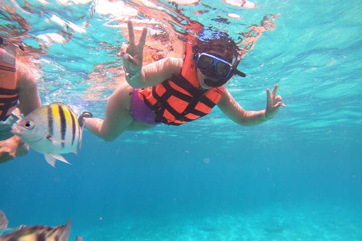 Cozumel Chankanaab Snorkeling Day Pass — Reef Snorkel, Lunch & Beach Access photo 6