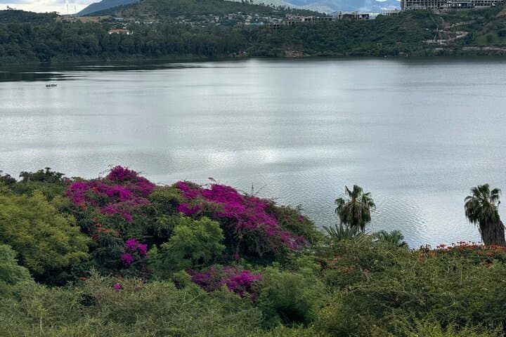 Debre Ziet Day Trip from Addis Ababa: Crater Lakes, Birdwatching & Kuriftu Resort photo 4
