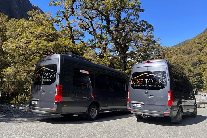 Milford Sound Full-Day Tour from Te Anau with Nature Cruise photo 2