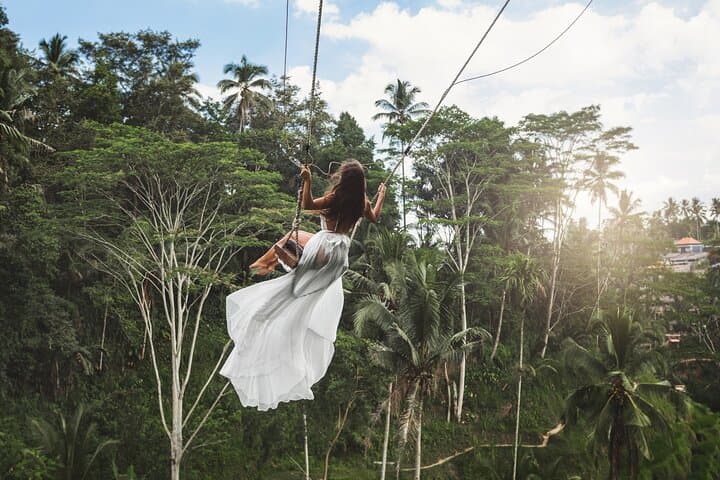 Ubud Private Day Tour with Jungle Swing, Monkey Forest & Tegenungan Waterfall