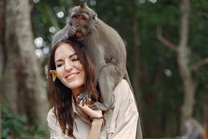 Ubud Full-Day Tour: Tegalalang Rice Terraces, Monkey Forest & Kanto Lampo Waterfall photo 3