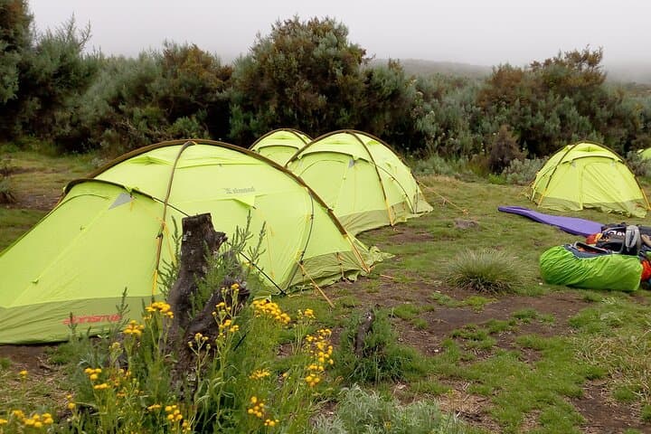 Mount Kenya 5-Day Sirimon-to-Chogoria Hike: Summit Point Lenana and Down to Chogoria photo 4