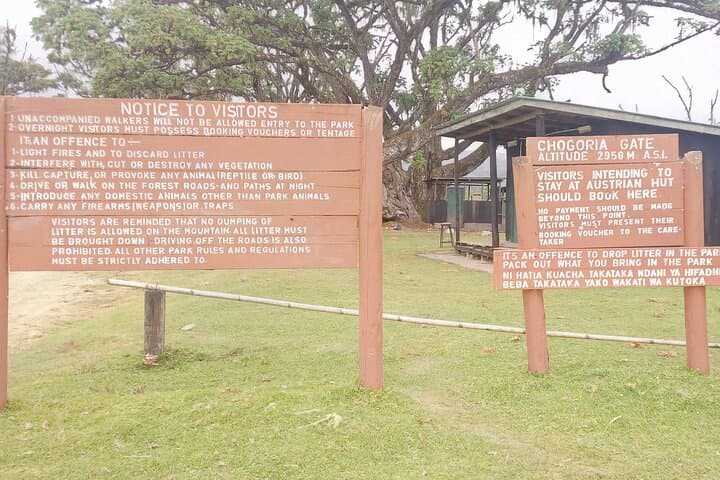 Mount Kenya 5-Day Sirimon-to-Chogoria Hike: Summit Point Lenana and Down to Chogoria photo 5