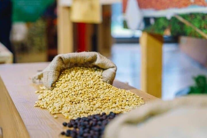 5-Day Coffee Tour in Ethiopia: Yirgacheffe, Awassa & Addis Ababa photo 5